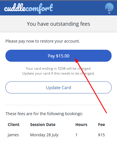 How do I pay the 15% fee? screenshot 2