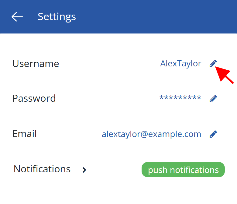 Username setting